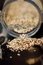 unsplash_TwfuHcKKByw_quinoa.webp
