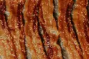unsplash_VVtVBLKkrik_bacon.jpg.jpg.jpg.webp