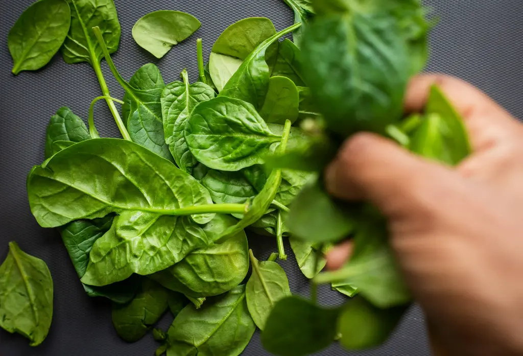 unsplash_FTt8KBMzYJU_spinach.jpg.webp