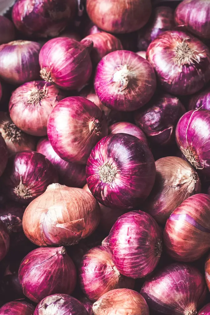 unsplash_D9h2-RxM1rE_red onion.webp