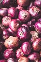 unsplash_D9h2-RxM1rE_red onion.webp