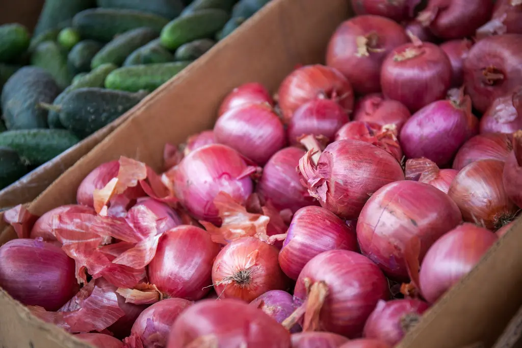 unsplash_SSIwIRCu7bM_red onion.jpg.jpg.webp
