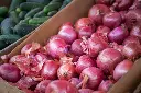 unsplash_SSIwIRCu7bM_red onion.jpg.jpg.webp