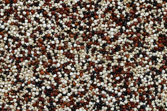Quinoa (Organic