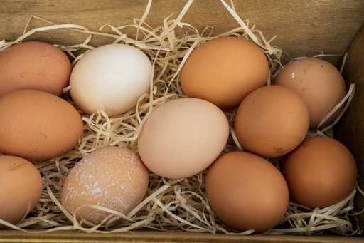 Free-Range Eggs (Dozen)