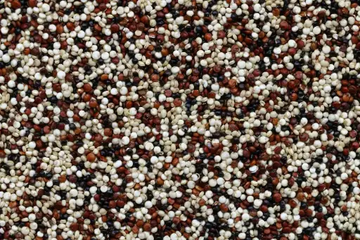Quinoa (Organic